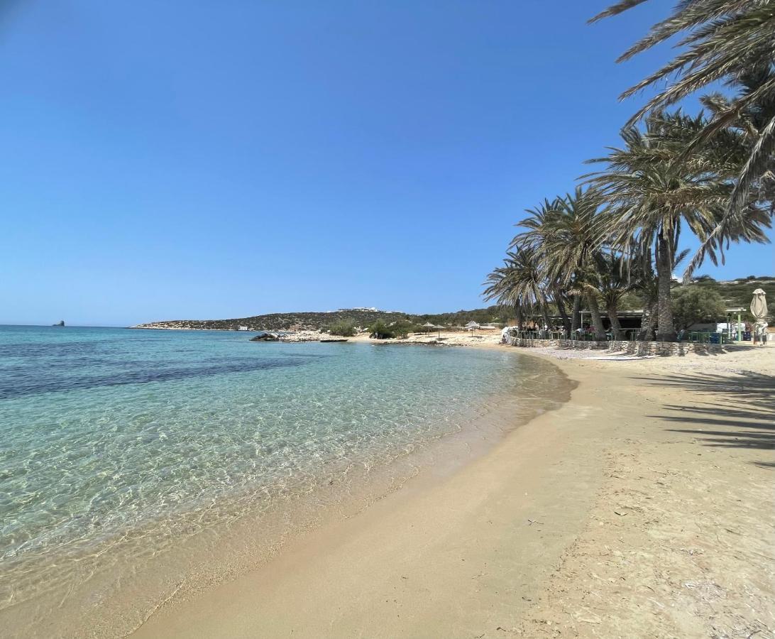 Apartament Sunkiss Paros Drios Zewnętrze zdjęcie